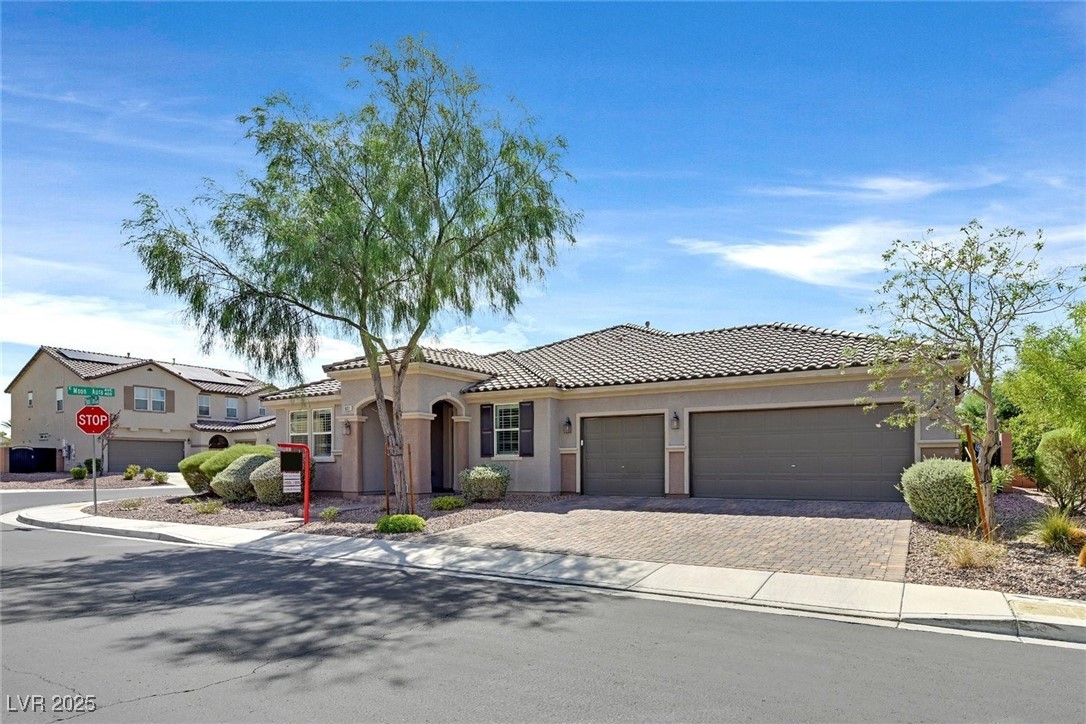 10391 Celestial Echo Street Property Photo 52