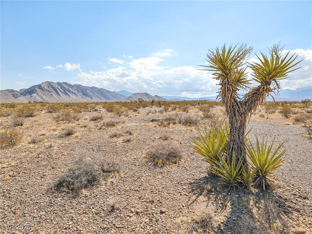 Pringle Property Photo 1
