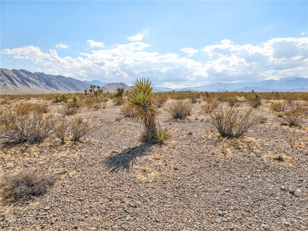 Pringle Property Photo 2