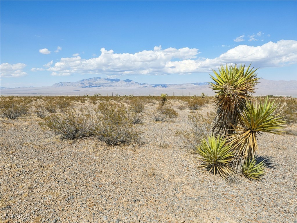 Pringle Property Photo 3