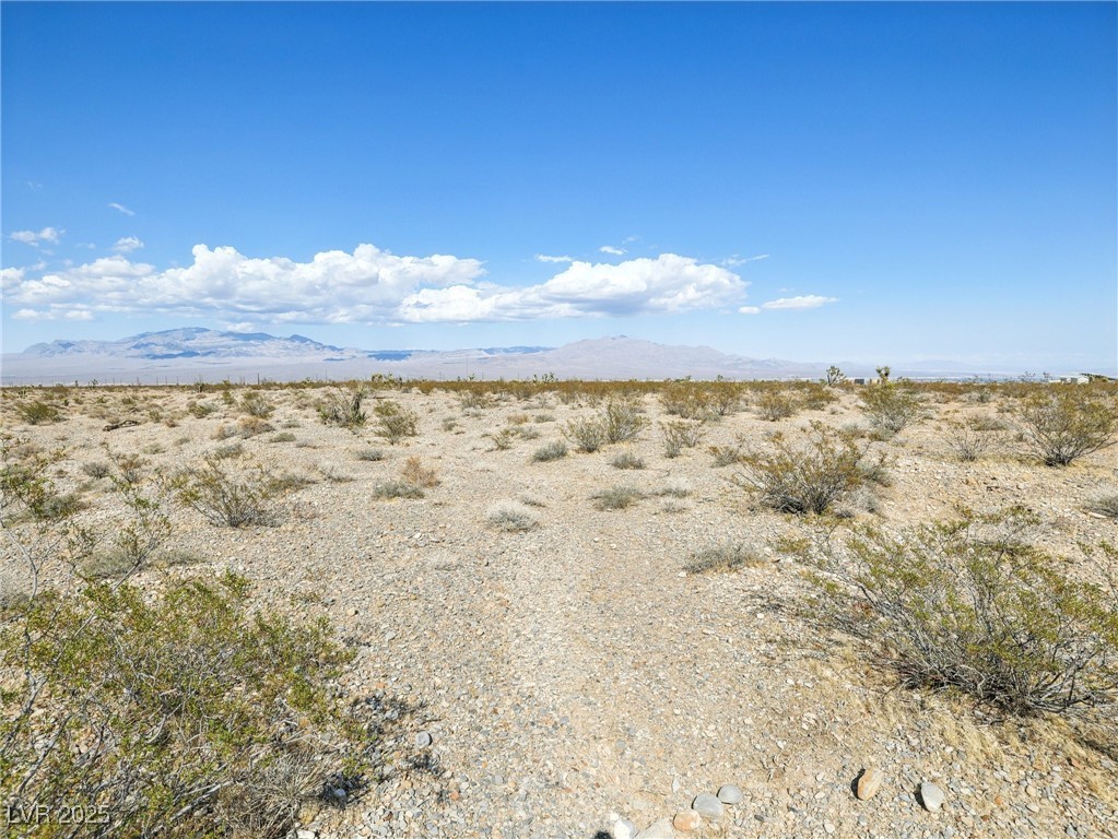 Pringle Property Photo 4