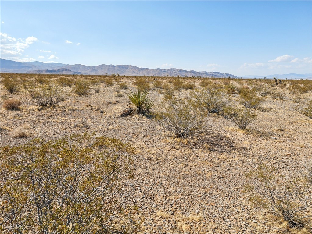 Pringle Property Photo 5