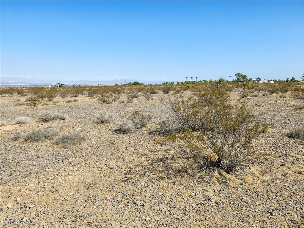 Pringle Property Photo 6