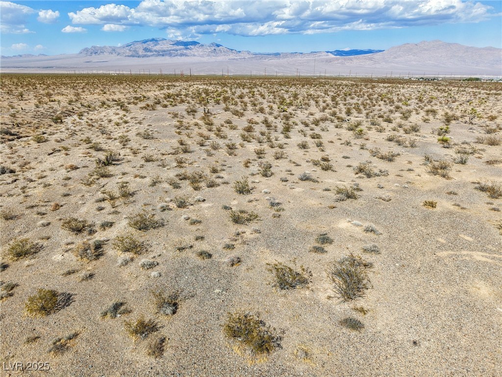 Pringle Property Photo 13