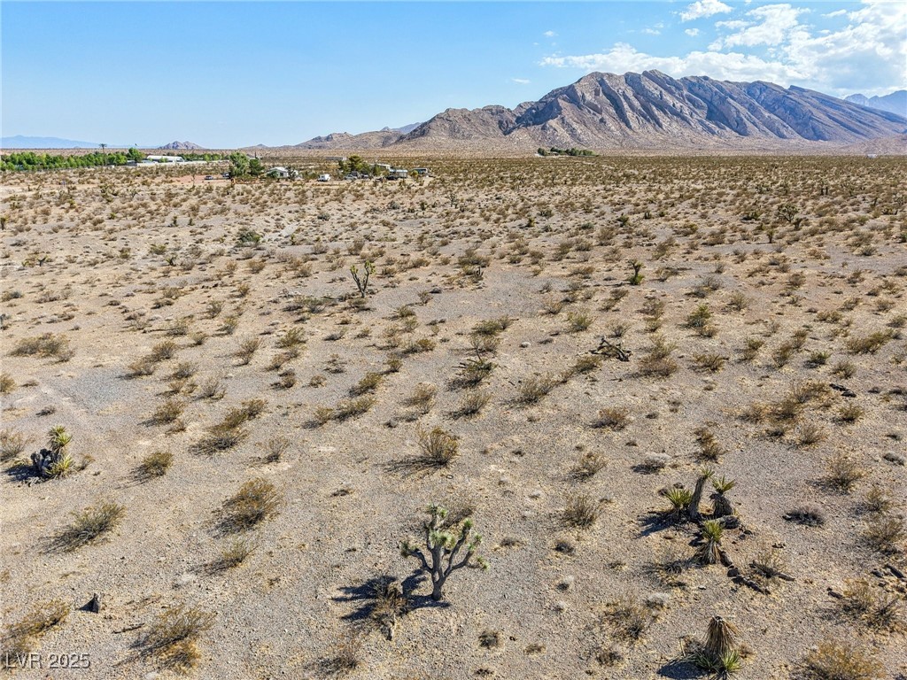 Pringle Property Photo 14