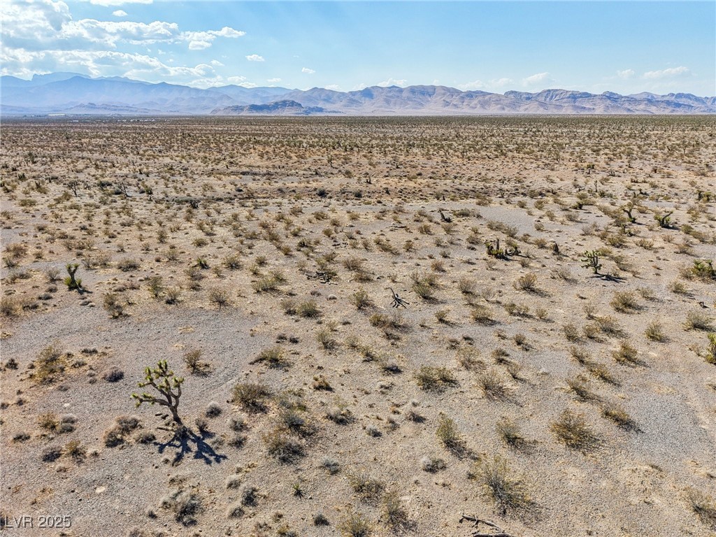 Pringle Property Photo 15