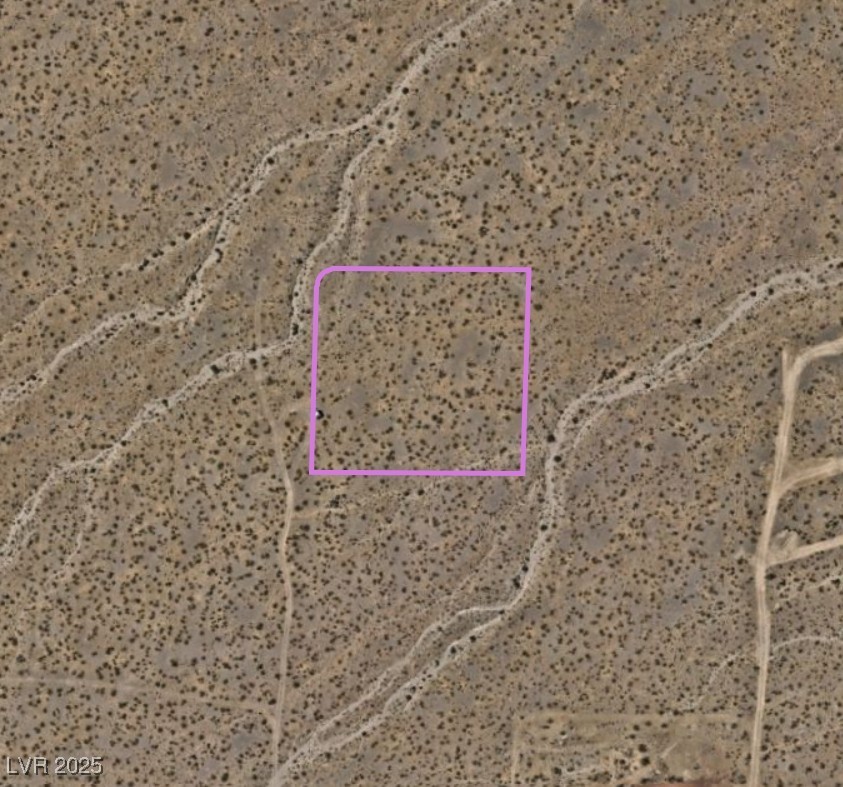 Pringle Property Photo 19