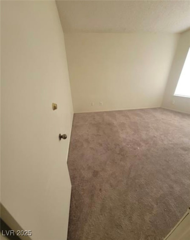 3805 Twig Lane Property Photo 22