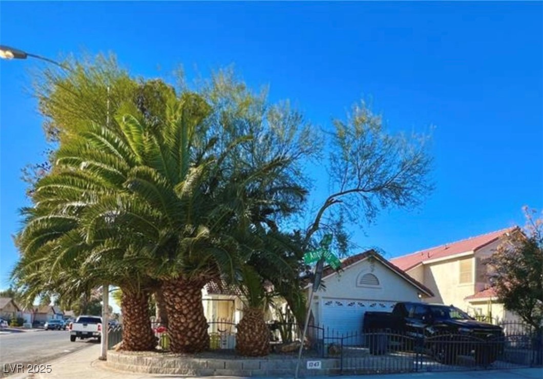 1747 Angel Falls Street Property Photo 1