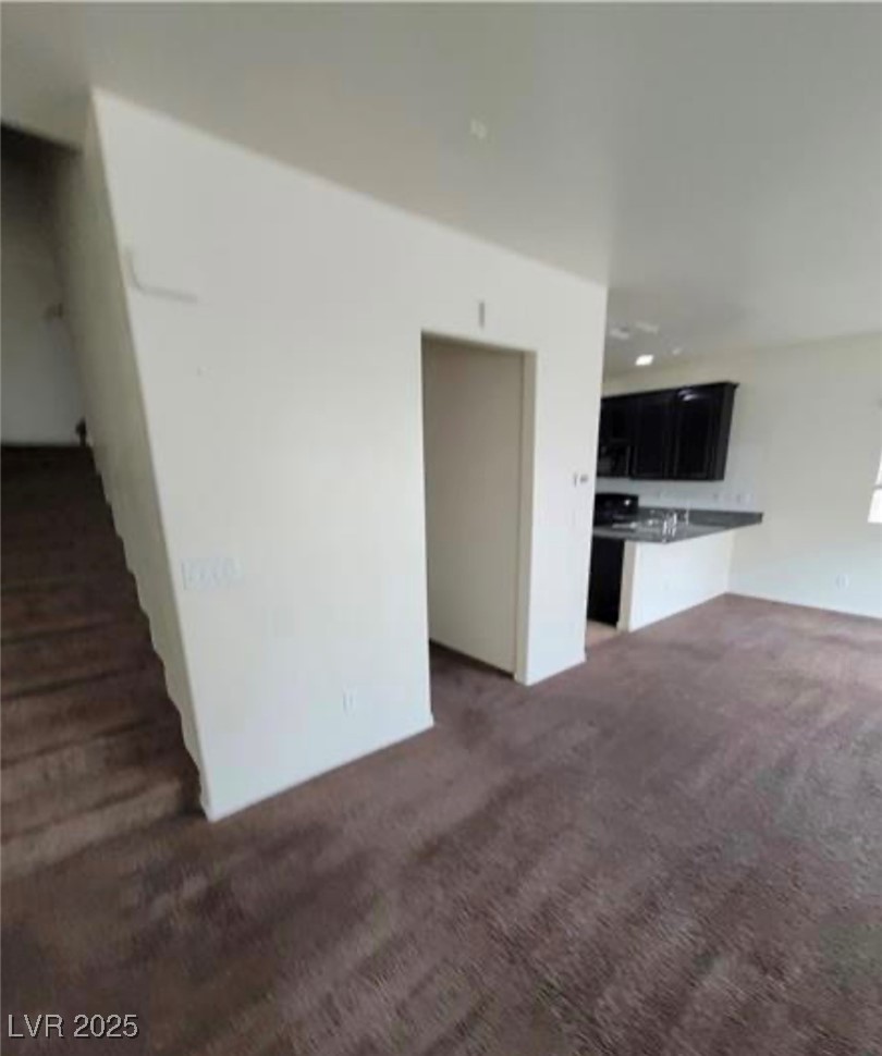 9033 Savvy Seam Court Property Photo 18