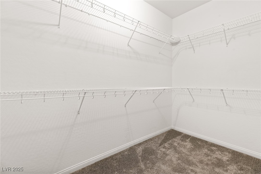 11689 Bearpaw Meadow Avenue Property Photo 26