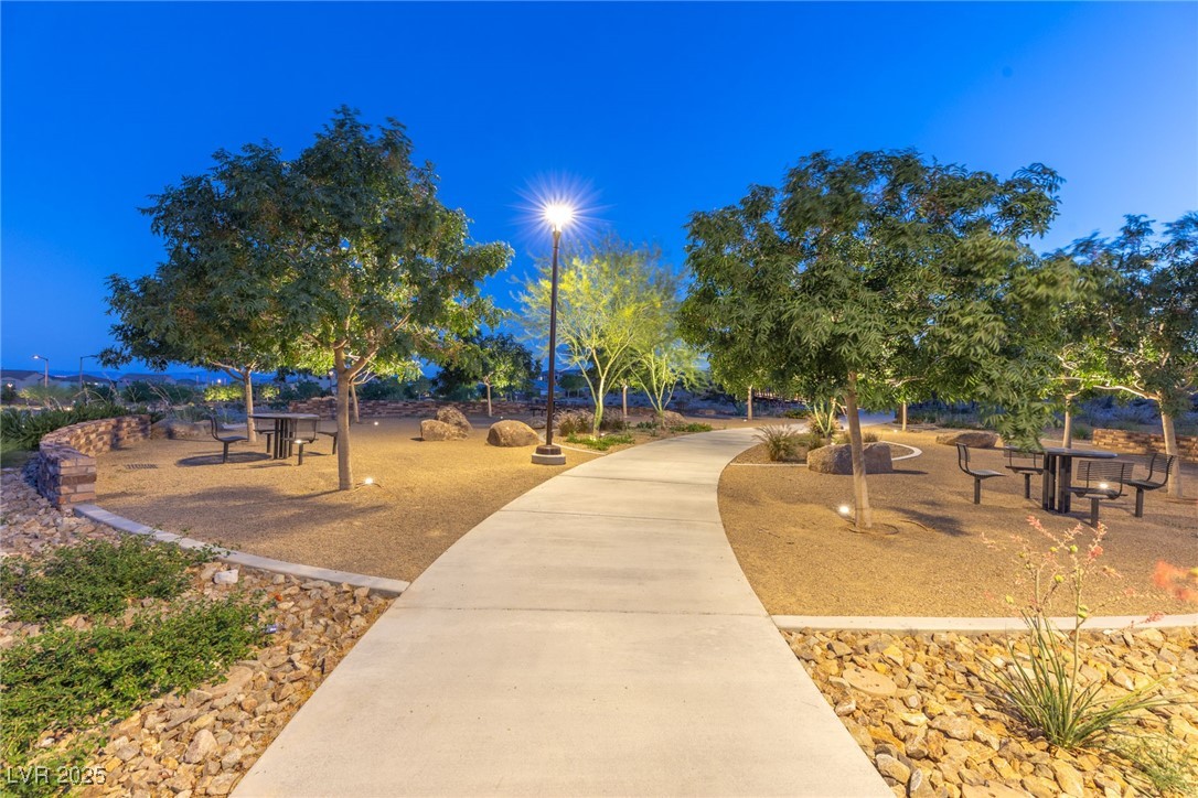 11689 Bearpaw Meadow Avenue Property Photo 38