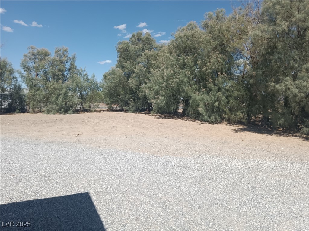 4081 Elvira Road Property Photo 24