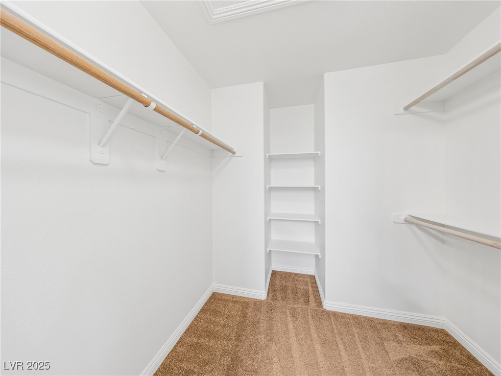 8689 Horizon Wind Avenue 103 Property Photo 39