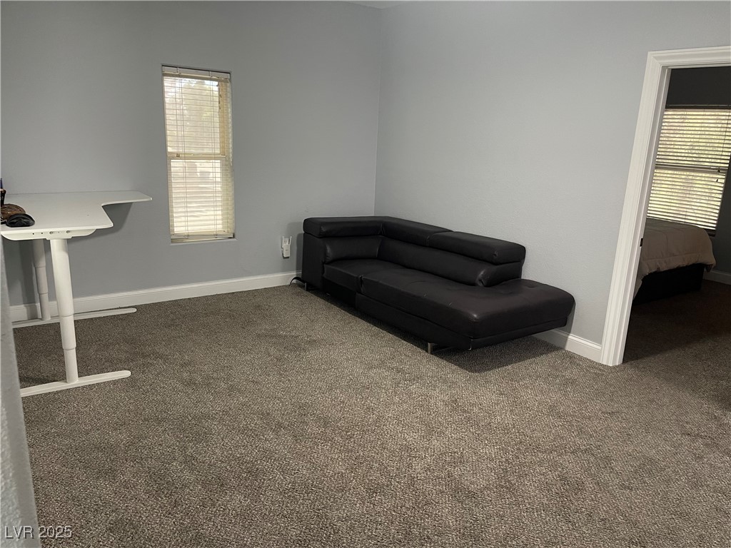 6480 West Oquendo Road Property Photo 46