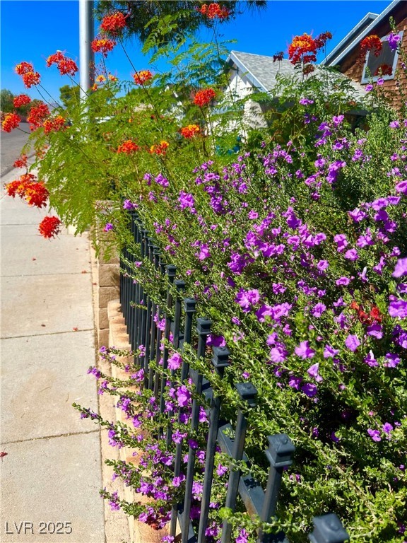 7150 Mountain Moss Drive Property Photo 7