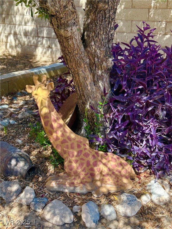 7150 Mountain Moss Drive Property Photo 34