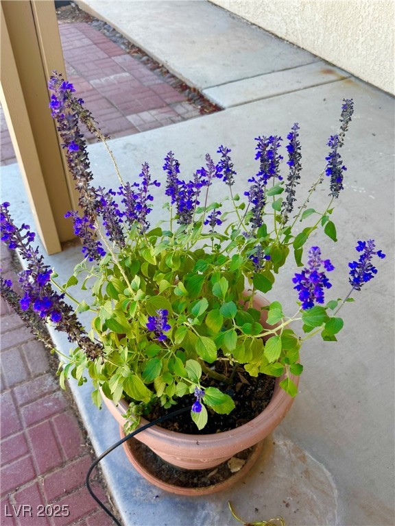 7150 Mountain Moss Drive Property Photo 35