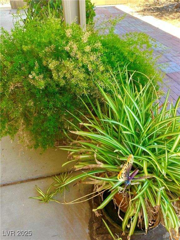 7150 Mountain Moss Drive Property Photo 37