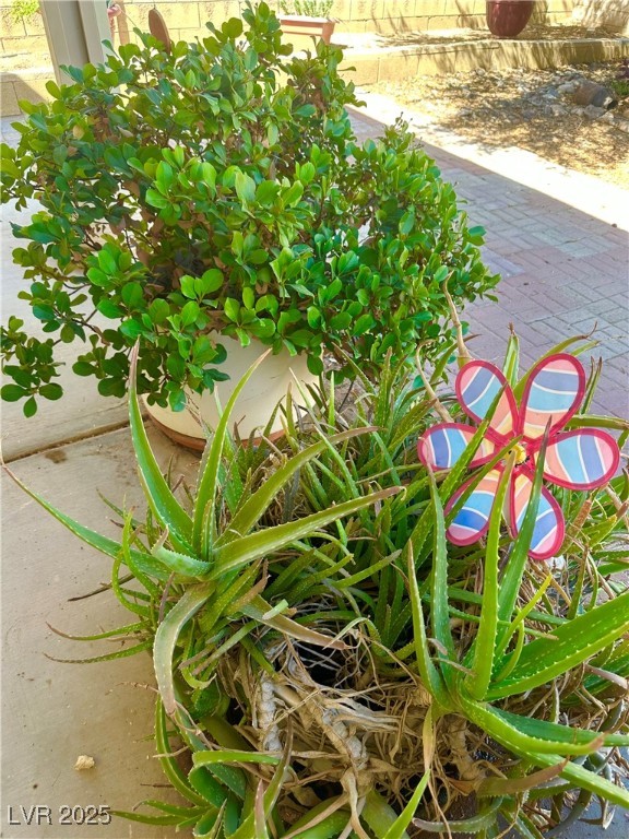 7150 Mountain Moss Drive Property Photo 38