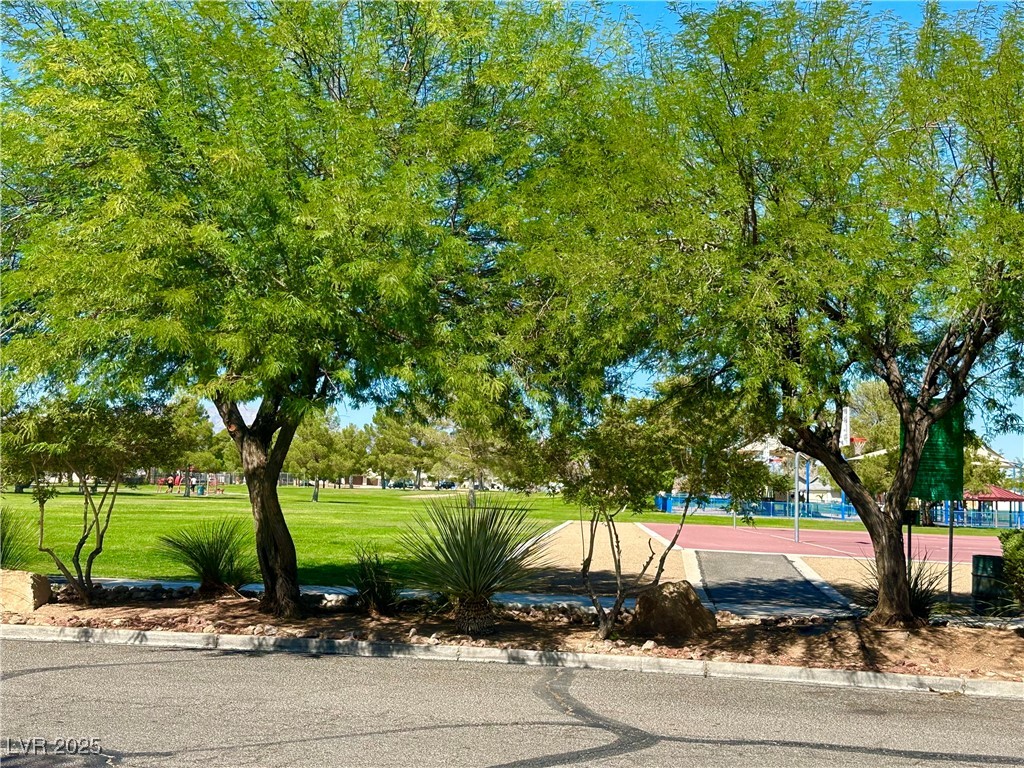 7150 Mountain Moss Drive Property Photo 55