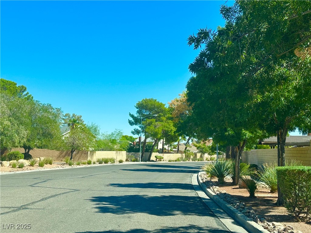 7150 Mountain Moss Drive Property Photo 57