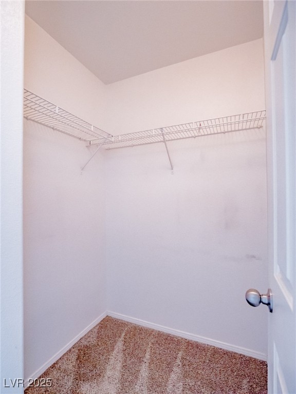 11038 African Sunset Street Property Photo 22