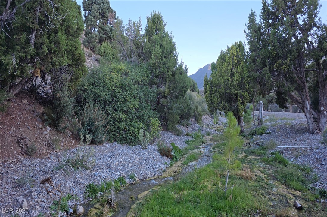 Bugling Bull Road Property Photo 2