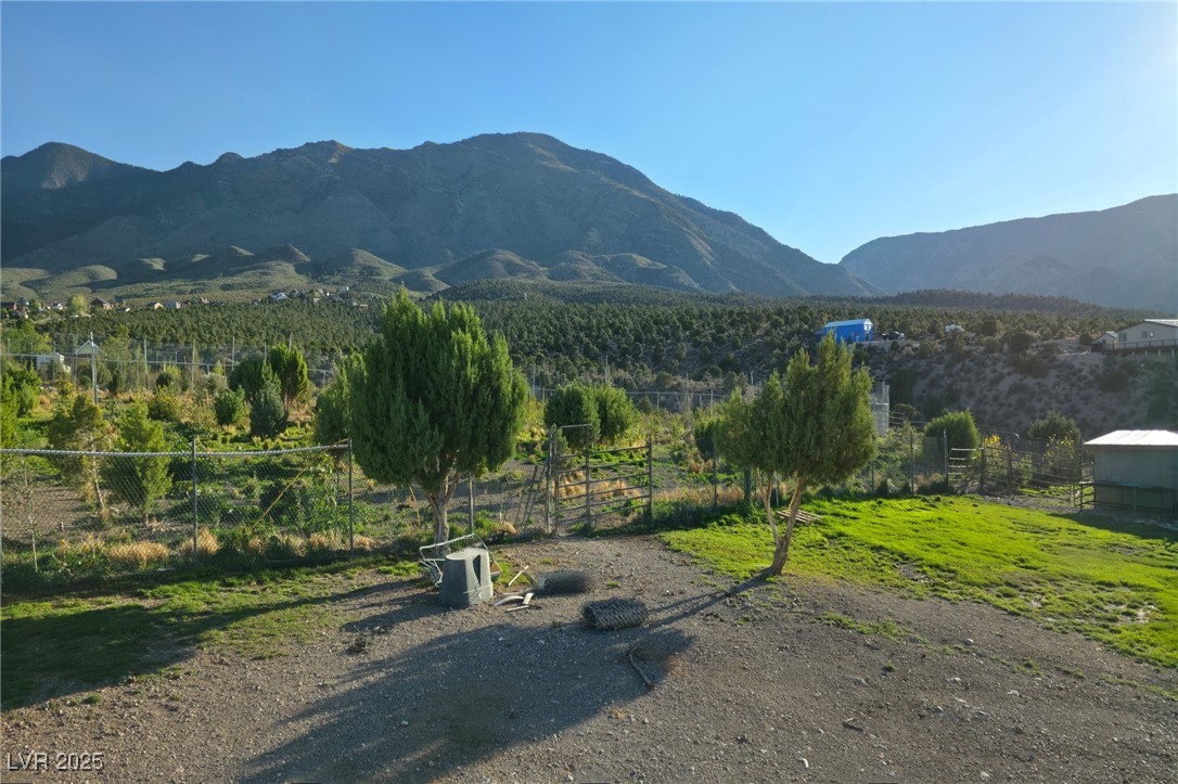 Bugling Bull Road Property Photo 10