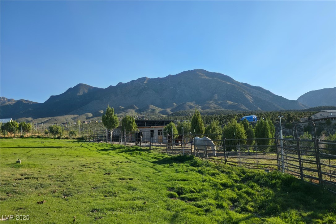 Bugling Bull Road Property Photo 11