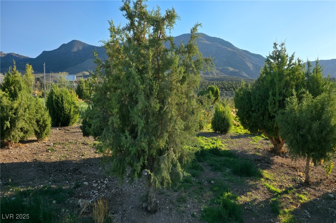 Bugling Bull Road Property Photo 12