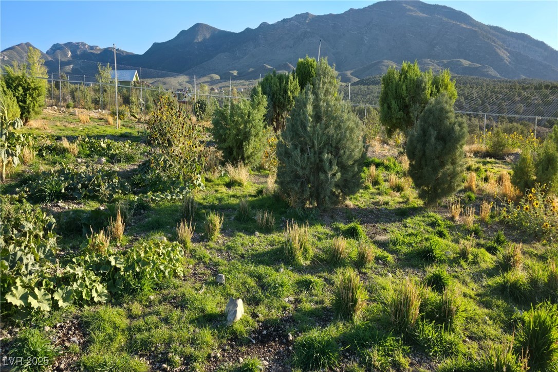 Bugling Bull Road Property Photo 13