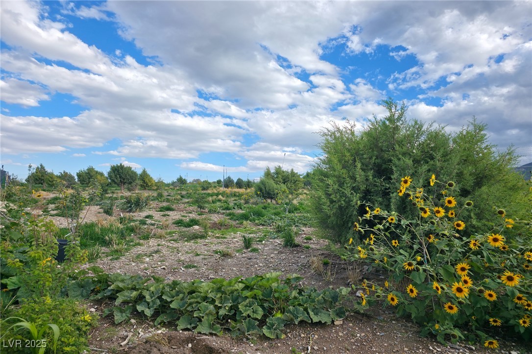 Bugling Bull Road Property Photo 14