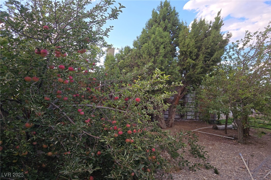 Bugling Bull Road Property Photo 16