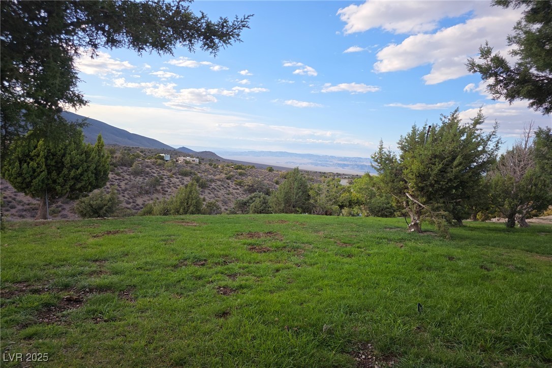 Bugling Bull Road Property Photo 18