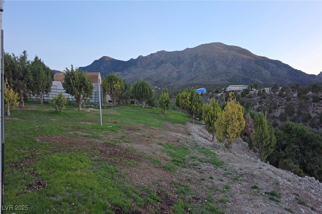 Bugling Bull Road Property Photo 21