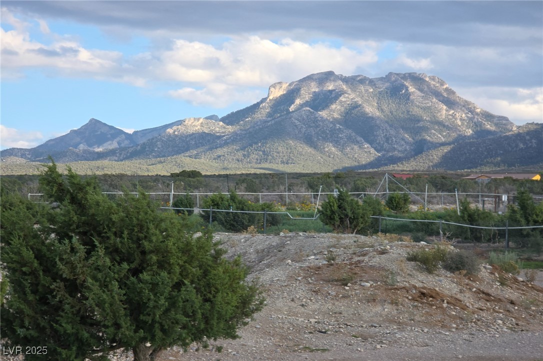 Bugling Bull Road Property Photo 22