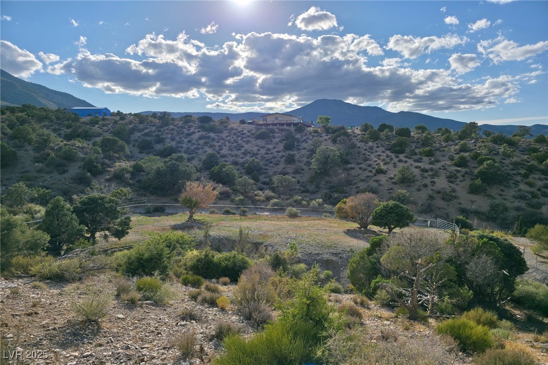 Bugling Bull Road Property Photo 23