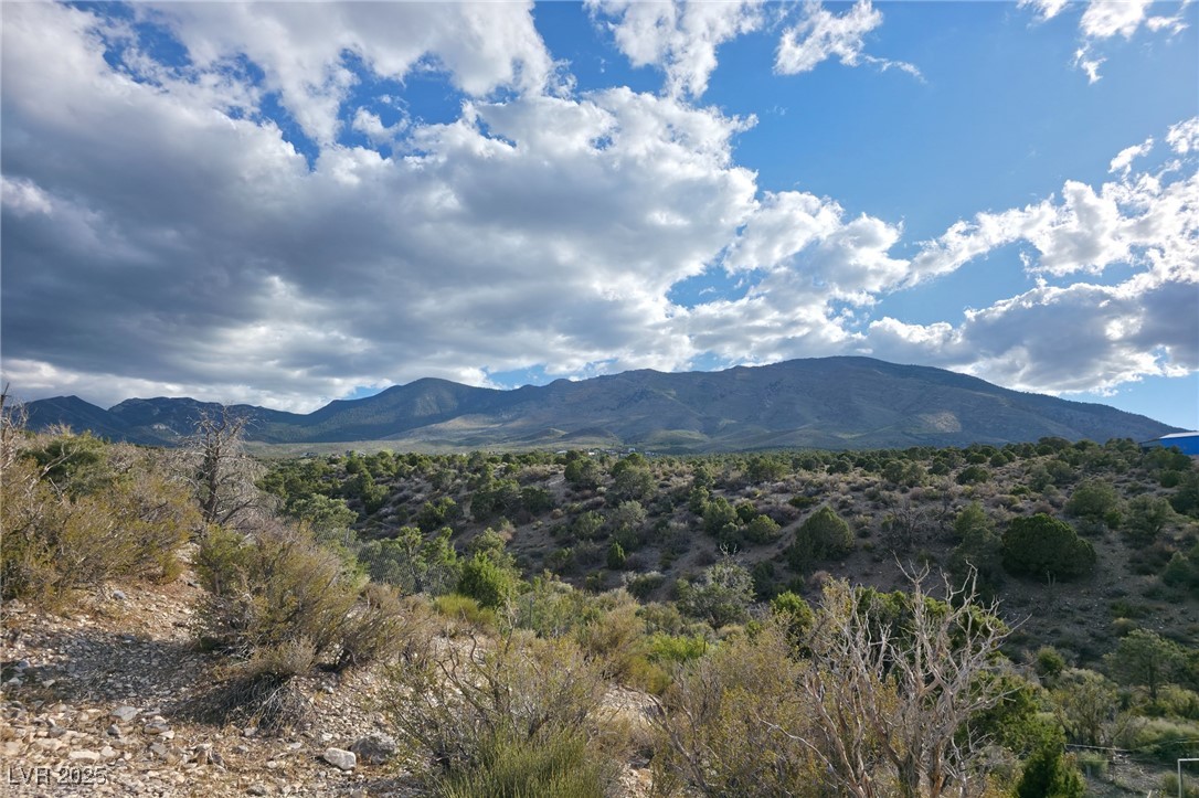 Bugling Bull Road Property Photo 26