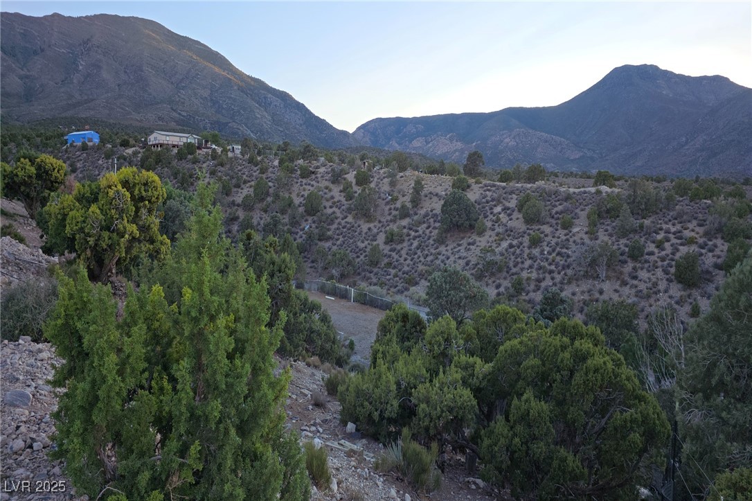 Bugling Bull Road Property Photo 29