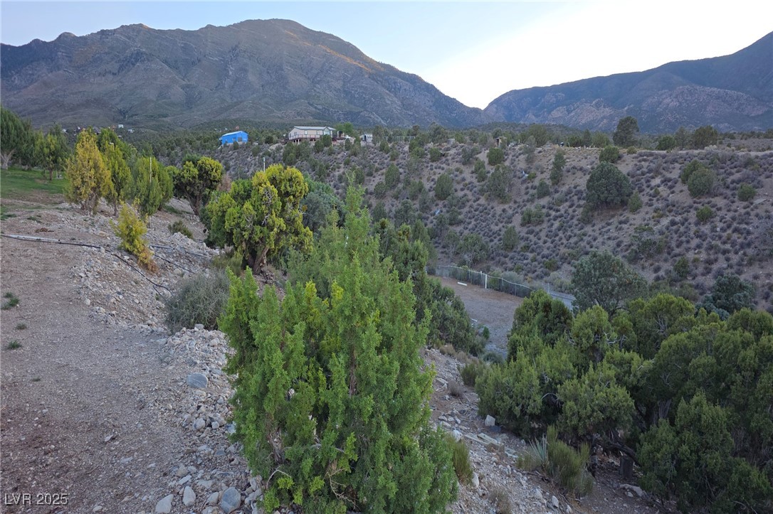 Bugling Bull Road Property Photo 30