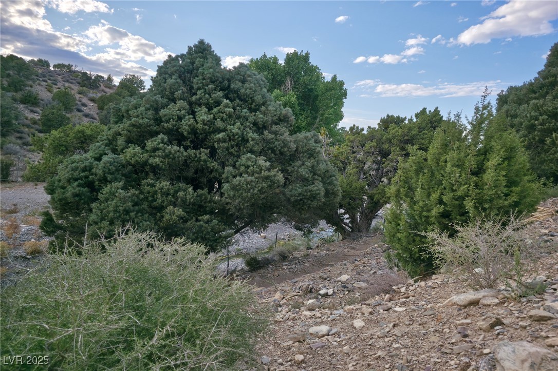 Bugling Bull Road Property Photo 31