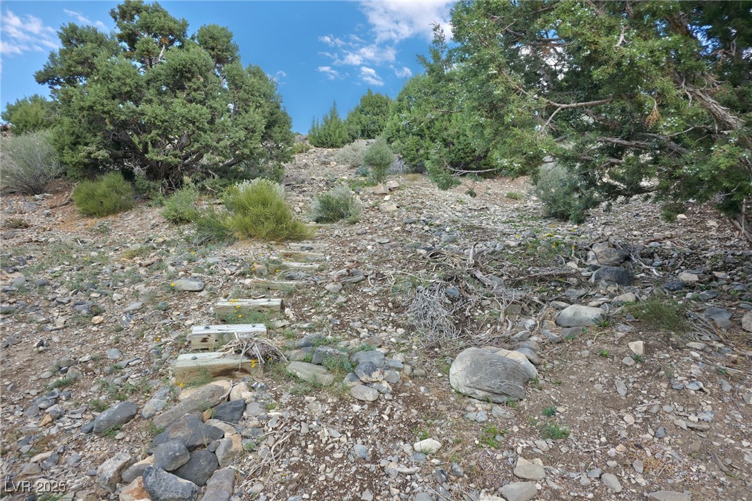 Bugling Bull Road Property Photo 32