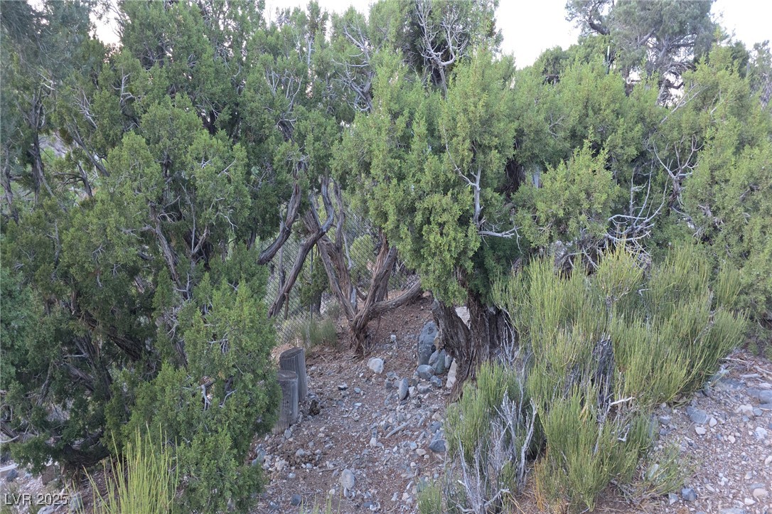 Bugling Bull Road Property Photo 33