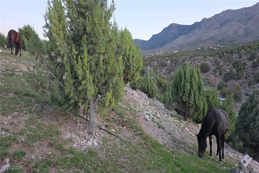 Bugling Bull Road Property Photo 34