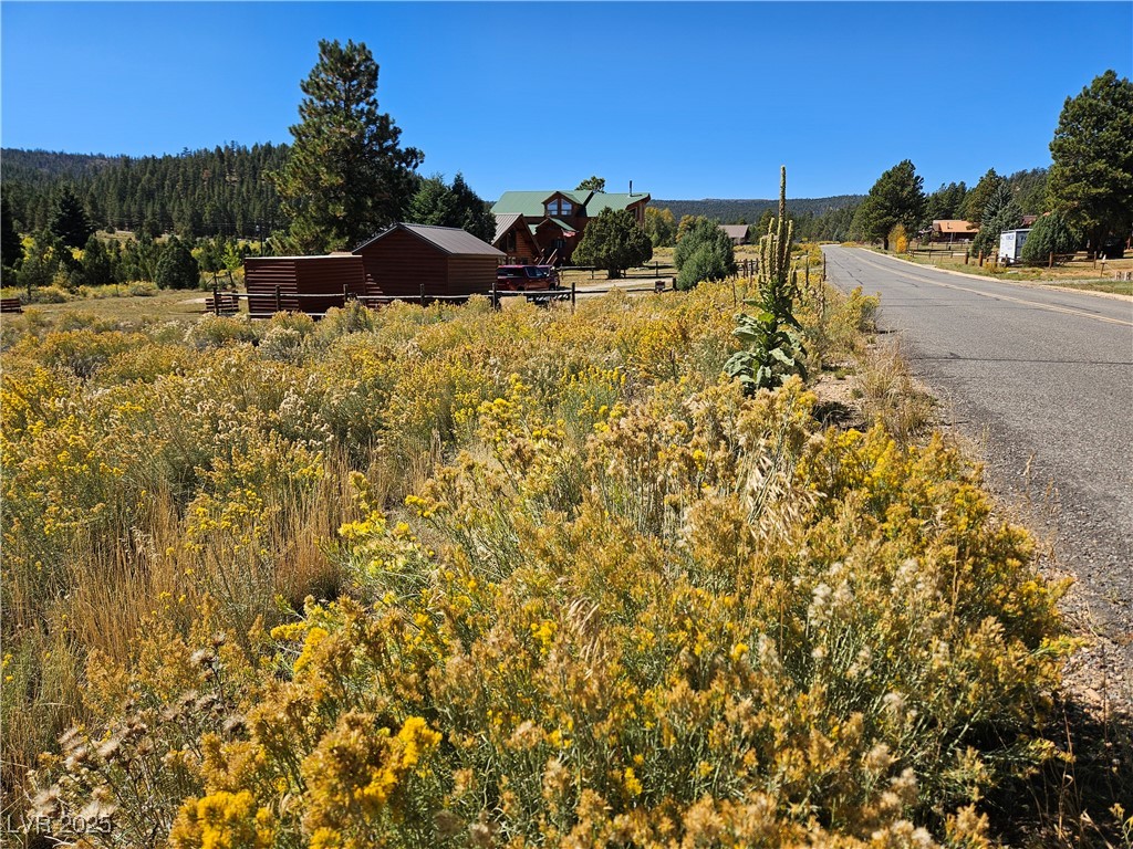776 East Aspen Meadow Drive Ah-9 Property Photo 3