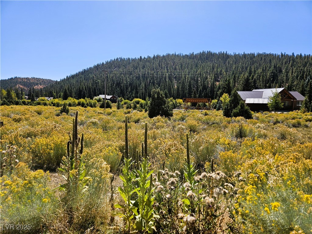 776 East Aspen Meadow Drive Ah-9 Property Photo 4