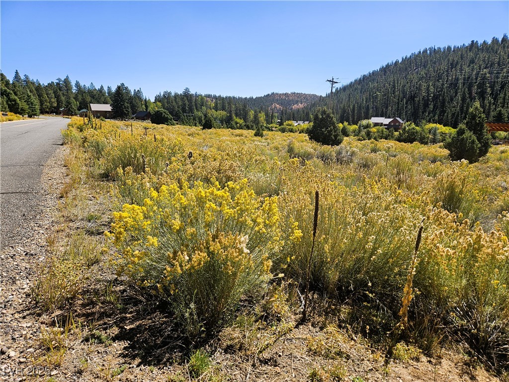 776 East Aspen Meadow Drive Ah-9 Property Photo 5