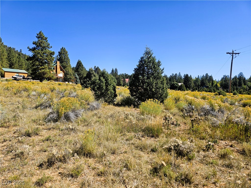 776 East Aspen Meadow Drive Ah-9 Property Photo 6