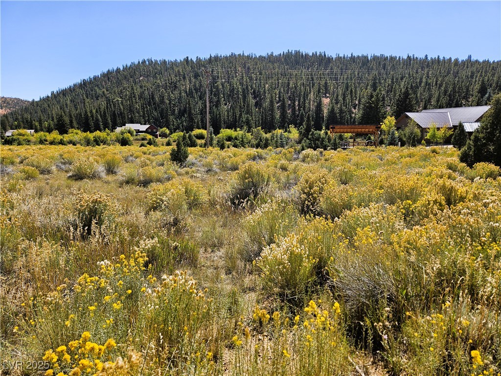 776 East Aspen Meadow Drive Ah-9 Property Photo 7